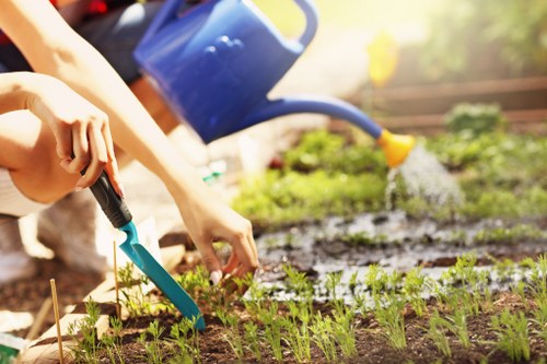 The image depicts a gardener watering a small garden bed with a blue watering can, positioned on the right side. In the foreground, there are young green seedlings planted in neat, parallel rows, supported by small wooden stakes. The soil appears dark and rich, with a slightly moist texture, indicating recent planting or watering. The background shows a wooden fence and blurred greenery, suggesting a suburban outdoor space possibly within Southwark. The overall scene is lit by natural sunlight, highlighting the vibrant green foliage and the fresh, lively atmosphere of outdoor gardening. This setting exemplifies typical garden care activities supported by professional landscapers such as Landscapers Southwark, and reflects a well-maintained, thoughtfully arranged garden suitable for outdoor landscaping and planting services.