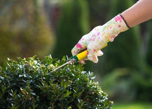 Eco-friendly tree maintenance practices in Southwark