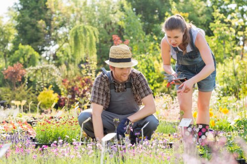 Maintaining a vibrant garden in Southwark