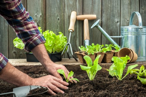 The image depicts a person planting young lettuce seedlings into rich, dark soil within a small garden patch, featuring bright green leaves. The scene is set outdoors, with a wooden fence in the background providing a natural boundary, and various gardening tools such as a small hand shovel, a watering can, and a row of gardening hand tools resting against the fence. The garden bed has a neat, prepared appearance with soil that appears fertile and well-maintained. The person's hands are actively engaged, gently positioning the seedlings in the soil, dressed in a checked shirt with rolled-up sleeves suitable for outdoor gardening. Surrounding the planting area, there are additional red and green plants growing in adjacent pots, indicating a vegetable or herb garden setup. Sunlight illuminates the scene, suggesting a fair weather day ideal for outdoor gardening activities typical of Southwark's outdoor spaces, supporting local gardening and landscaping expertise, as offered by Landscapers Southwark, while emphasizing care for garden development and maintenance.