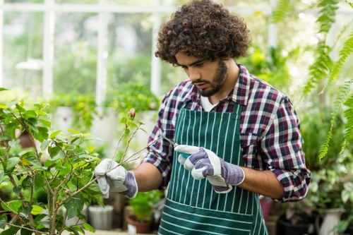 A young man with curly brown hair and a beard is working in a lush greenhouse garden, tending to a small branch of a shrub with pink flowers. He is wearing a checked shirt, a green and white striped apron, and gardening gloves. The greenhouse environment features a variety of green foliage, including ferns hanging on the right and potted plants on the left. Bright natural light filters through glass panels, illuminating the vibrant greenery and creating a fresh, healthy atmosphere typical of professional gardening and landscape maintenance in Southwark. The scene reflects outdoor gardening activities such as pruning or inspecting plants, with the setting emphasizing meticulous horticultural care within a controlled environment, supporting local gardening services offered by Landscapers Southwark.