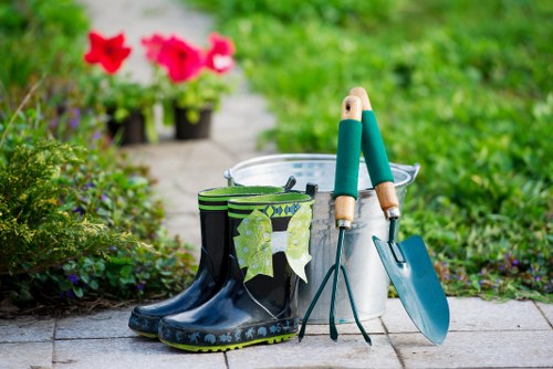 Professional hedge trimming service in Southwark