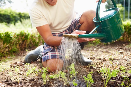 A person wearing a white t-shirt and checkered shorts is kneeling in a garden bed, watering young green plants with a green watering can. The garden features a freshly tilled soil surface with small, sprouting plants arranged in orderly rows. In the background, there is a neatly trimmed hedge and green outdoor space, indicating a well-maintained garden environment. The scene is illuminated by natural daylight, suggesting a bright, sunny day. This image highlights outdoor gardening activities typical of professional landscaping and lawn care services provided by Landscapers Southwark, supporting sustainable garden maintenance practices in the area near Southwark, London.