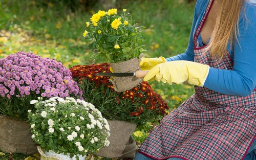 Eco-friendly landscaping practices in action