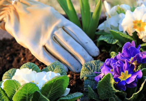 Professional gardener pruning plants