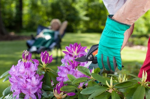 A close-up view of a gardener's hand wearing a bright turquoise gardening glove, using pruning shears to trim a vibrant purple flowering shrub in a well-maintained lawn area. In the background, a child or pet is resting in a reclining garden chair beneath a large tree, with lush green foliage creating a serene outdoor environment. The garden features a tidy flower bed with dense green leaves and blooming purple flowers, bordered by a manicured lawn with evenly cut grass. The scene captures a clear, sunny day with natural light illuminating the garden, showcasing the meticulous attention to plant care and outdoor maintenance typical of professional gardening services in Southwark. The arrangement emphasizes the blend of cultivated plant elements, paved pathways, and shaded outdoor space, suitable for landscaping or garden renovation projects undertaken by Landsacapers Southwark.