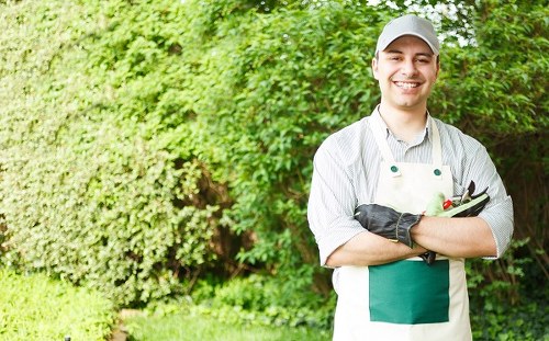 A professional gardener in casual attire, including a grey cap and white apron, standing outdoors in a well-maintained garden. The garden features a neatly trimmed hedge in the background, lush green grass covering the ground in the foreground, and some small flowering plants along the edge of a paved patio area. The gardener is smiling and holding gardening tools, indicating active engagement in outdoor maintenance work. The natural lighting suggests a clear day with mild weather, creating a vibrant and inviting outdoor environment that showcases the importance of garden care and landscaping, aligning with services offered by companies like Landscapers Southwark in the South London area, near postcode SE1.