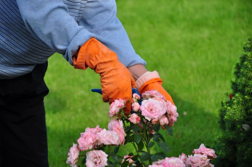 A gardener wearing a grey long-sleeve top and bright orange gardening gloves is pruning pink roses in a well-maintained backyard garden in Southwark, London. The garden features a lush, green lawn with dense grass, bordered by a variety of shrubbery and small flowering plants. In the background, there are neatly trimmed hedges and a mix of trees, providing shade and structure to the landscaped outdoor space. The scene is captured in natural daylight under clear weather, highlighting the vibrant colours of the flowers and foliage. The gardener's careful trimming work is focused on maintaining the health and appearance of the rose bushes, which are clustered in the foreground with their soft pink blossoms. To the right, a paved pathway or patio area is partially visible, with a tidy edge separating it from the soil and planting beds. The overall setting reflects a thoughtfully designed garden space suitable for professional landscaping and gardening services by Landscapers Southwark.